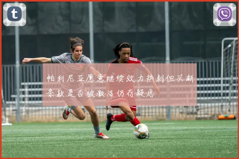 帕利尼亚愿意继续效力热刺但买断条款是否被激活仍存疑虑